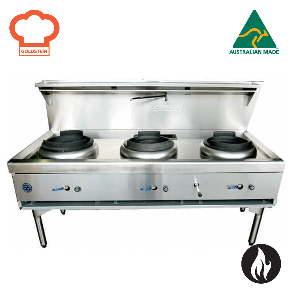 GOLDSTEIN CWA3 - WOK