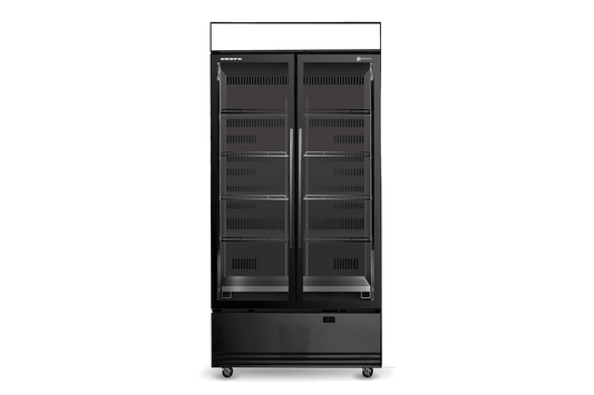 SKOPE SKB900N-A 2 Glass Door Display or Storage Fridge